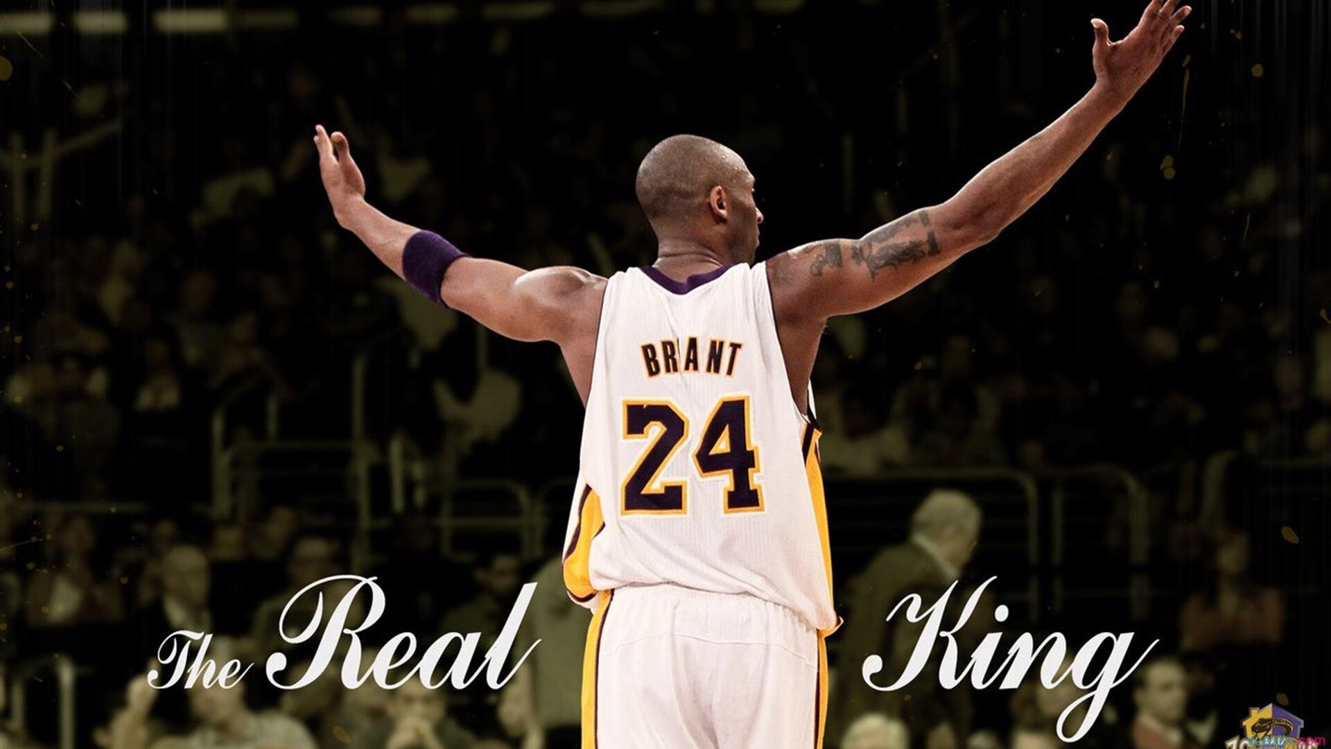 赛道与球场,F1街道赛的尼克斯式速胜哲学